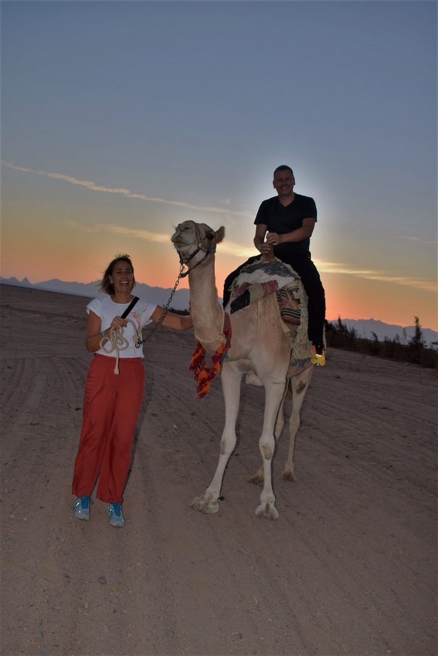 Safari dans le désert d'Hurghada + observation des étoiles et dîner