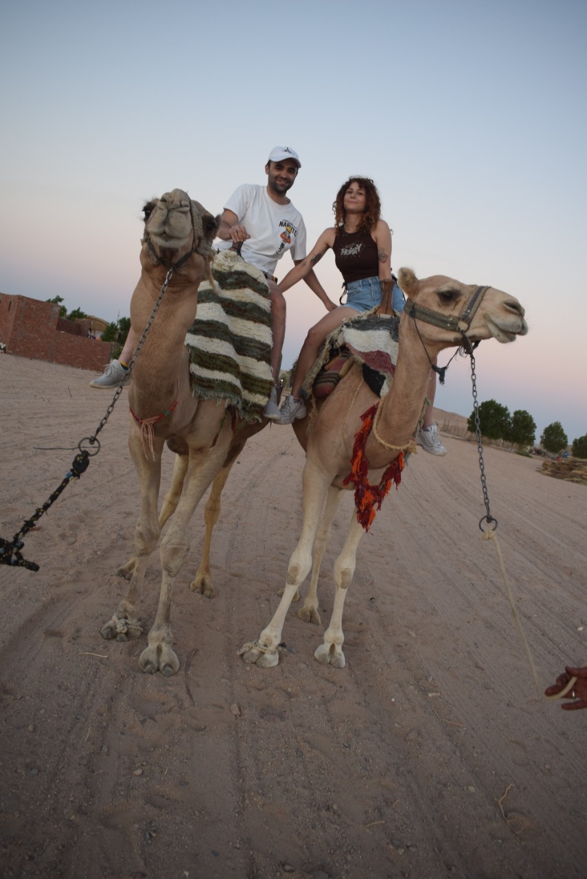 Safari dans le désert d'Hurghada + observation des étoiles et dîner