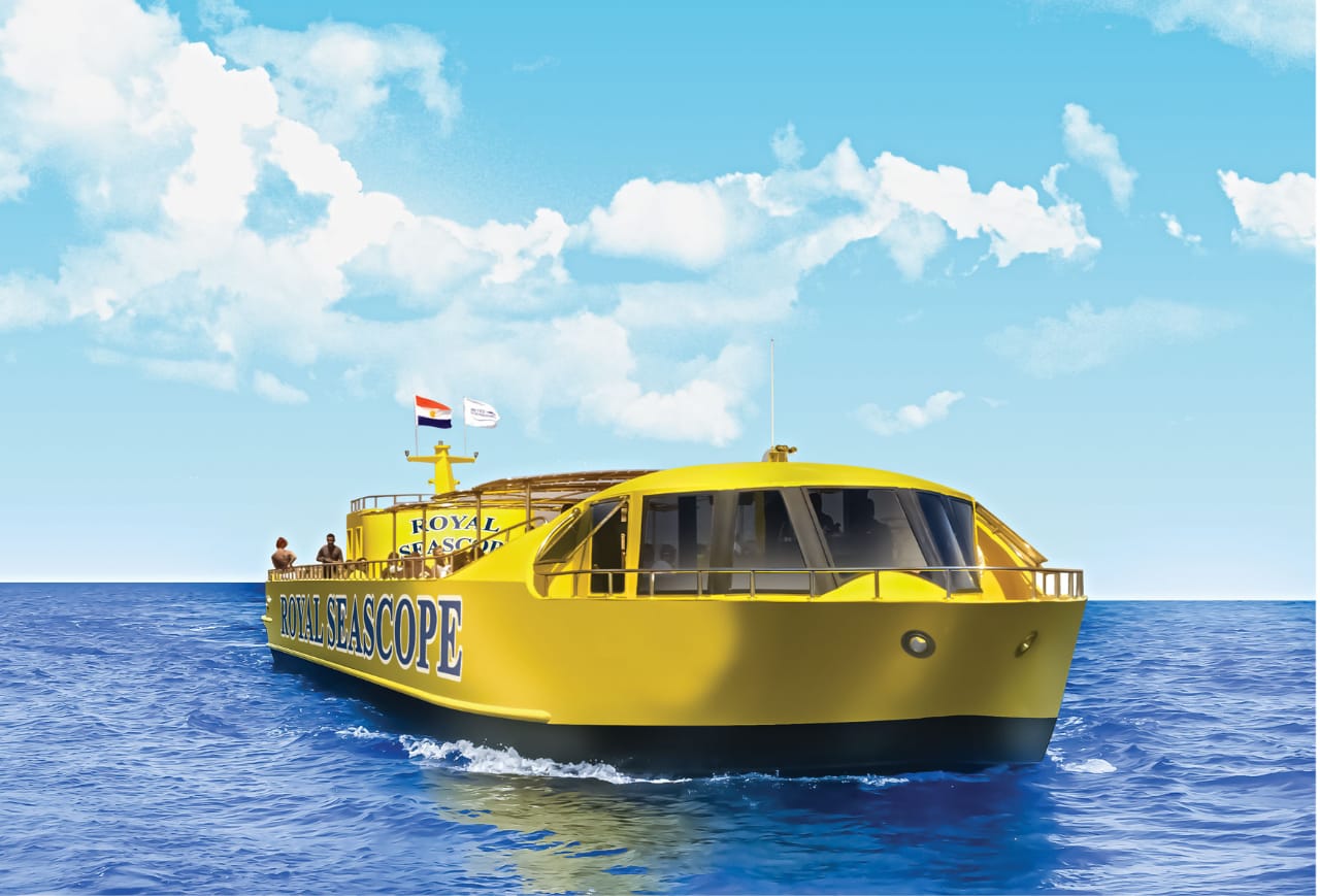 Excursion en bateau à fond de verre & Visite de la ville d'Hurghada