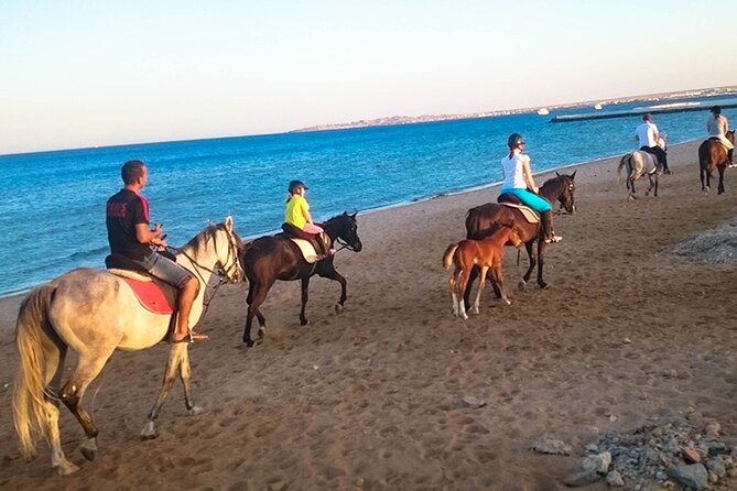 Tour à cheval à Hurghada Excursion privée à cheval dans le désert et la mer