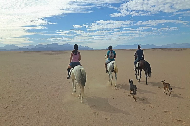 Tour à cheval à Hurghada Excursion privée à cheval dans le désert et la mer