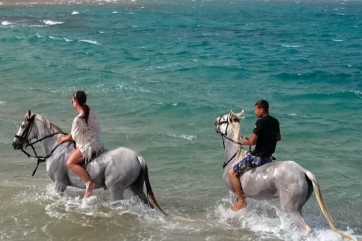 Tour à cheval à Hurghada Excursion privée à cheval dans le désert et la mer