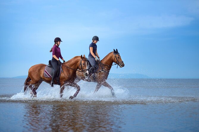 Tour à cheval à Hurghada Excursion privée à cheval dans le désert et la mer