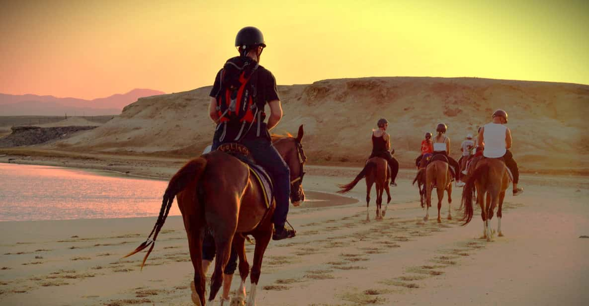 Tour à cheval à Hurghada Excursion privée à cheval dans le désert et la mer