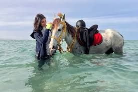 Tour à cheval à Hurghada Excursion privée à cheval dans le désert et la mer