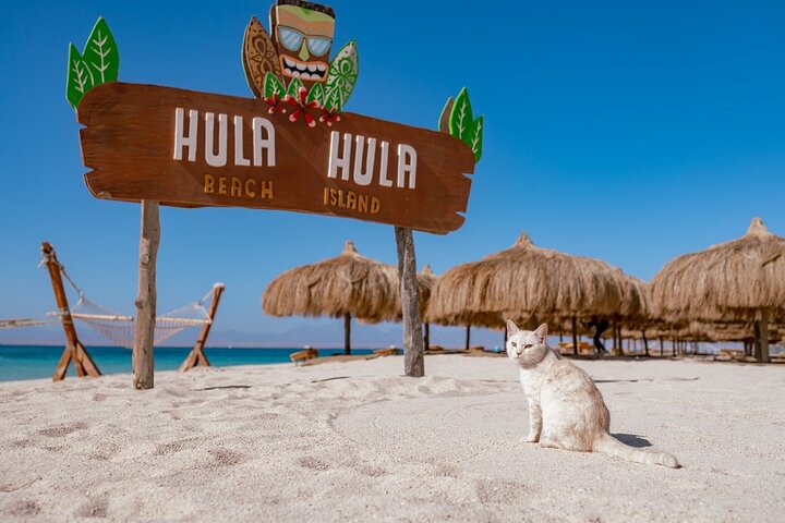 île-Hula Hula-hurghada-1-échelle